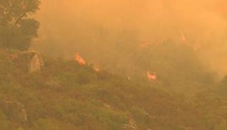 حرائق غابات في الجزائر 