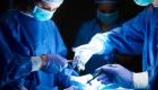 استخراج "نمر" من أحشاء شاب عراقي