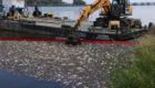 ظاهرة نادرة "المتهم الأول" في كارثة نهر أودر