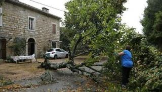 العاصفة اقتلعت الأشجار وعطلت القطارات