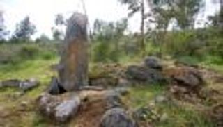 كنز أثري.. اكتشاف أكثر من 500 شاهد صخري جنوب إسبانيا