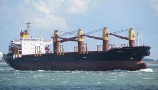 سفينة تنقل الحبوب الأوكرانية - أرشيفية