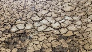 الصومال يواجه أسوأ موجة جفاف منذ 40 عاما