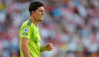 هاري ماجواير 