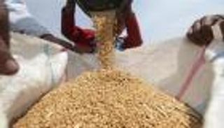 وزير التموين المصري: مخزون القمح يكفي لمدة 7 أشهر