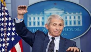 أنتوني فاوتشي مستشار البيت الأبيض لمكافحة كورونا