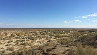 الزراعة في مناطق بحر الآرال