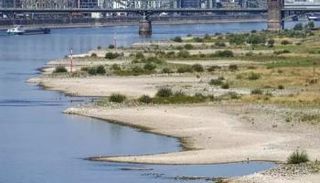 الجفاف يهدد أوروبا بخسائر كارثية