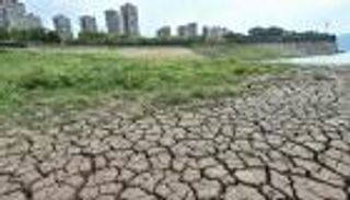 موجة حر غير مسبوقة تضرب الصين.. المحاصيل في خطر