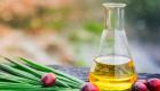 أول وزير لزيت النخيل في العالم.. بابوا غينيا الجديدة تستحدث وزارة جديدة