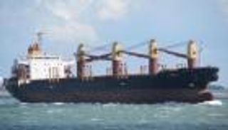 أوكرانيا تكشف عن حجم صادراتها الزراعية.. مليون طن إلى 15 دولة