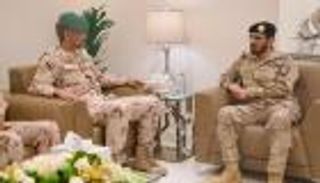 الأوضاع في اليمن على طاولة مباحثات سعودية إماراتية