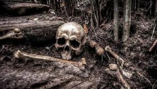 العثور على هيكل عظمي في البرتغال - أرشيفية