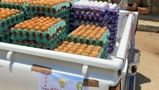 أسعار البيض