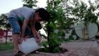 مبادرة تجذب أطفال كردستان العراق.. "اكفل شجرة" تحمل اسمك (صور)