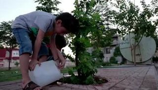 الأطفال جذبتهم فكرة العناية بشجرة تحمل اسمهم