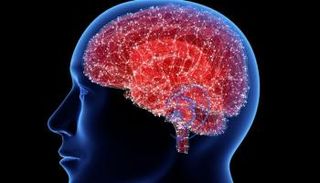 الدماغ البشري- تعبيرية