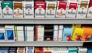 أسعار السجائر في مصر 
