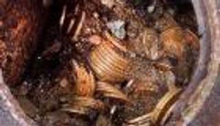 أردني يعثر على كنز "لا يقدر بثمن"