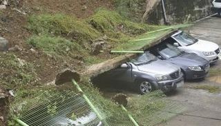 الإعصار خلف دمارا واسعا في كوريا الجنوبية