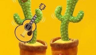 الصبارة التعليمية