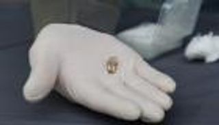 اكتشاف سن بشرية عمرها 1.8 مليون عام.. الأقدم خارج أفريقيا