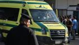 أنقذ أسرة من الموت.. مصرع شاب مصري صدمته سيارة مسرعة