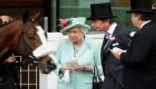 تكريم من عالم آخر.. فرس الملكة إليزابيث يفوز بسباق أمريكي