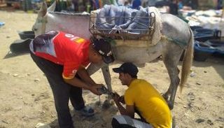 تراجع حرفة الصفايحي في المغرب