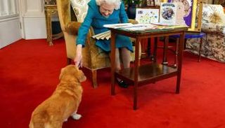 الملكة إليزابيث وكلبها