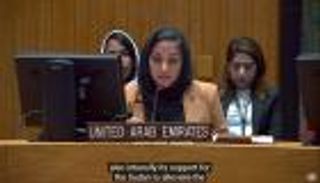 الإمارات بمجلس الأمن: الوضع بالسودان يتطلب دعما جادا من المجتمع الدولي