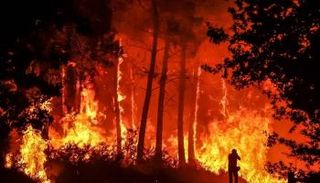 الحرائق تسببت في تدمير 4 منازل