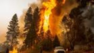 حرائق الغابات تهدد الآلاف في غرب أمريكا وإعلان الطوارئ