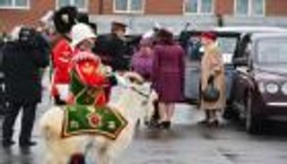 التيس الملكي.. قصة تميمة الحظ في الجيش البريطاني