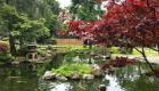 أجمل الحدائق في لندن.. صور 6 مفاجآت في رحلة استثنائية