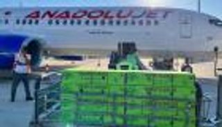 "التركية" تشحن 13 طن زهور لجنازة الملكة.. الطلب يقفز 90%