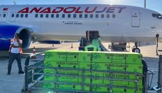 صادرات الزهور التركية