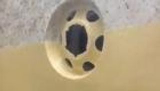 جدل في العراق حول "فتحة الجدار المبروكة".. والشرطة تعتقل "سيد ويل"