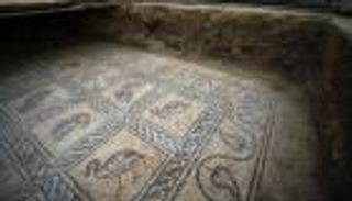 مزارع فلسطيني يكتشف بالصدفة لوحة فسيفساء نادرة من العصر البيزنطي (صور)