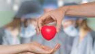 أول مصرية توثق توكيلا للتبرع بأعضائها: هذه تجربتي