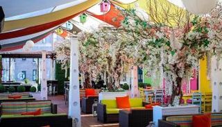 مطعم "ريبابلكا"