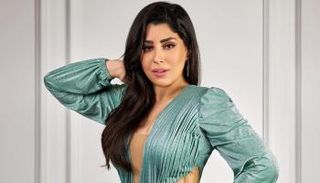 أيتن عامر - أرشيفية