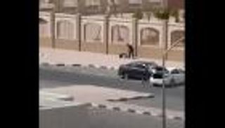 توظفت دون علمه.. حبس المعتدي على زوجته في الطريق العام بالكويت