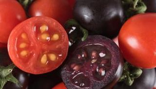 الطماطم الحمراء والأرجوانية - أرشيفية