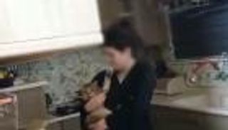 الدفاع المدني العراقي يستنفر لإنقاذ قطة (فيديو)