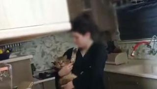 القطة في أحضان مربيتها بعد عملية الإنقاذ