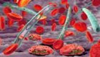 مُركب دوائي جديد يعثر على ثغرة في الطفيل المسبب للملاريا 