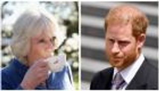 رد فعل "شبيه بالأفلام" من كاميلا عند سماعها هذا الاقتراح من هاري