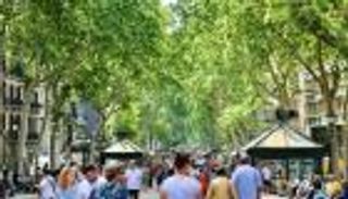 الأشجار النادرة في خطر.. التغير المناخي يواصل حصد الضحايا