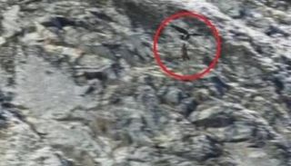 النسر يحلق حاملا الماعز